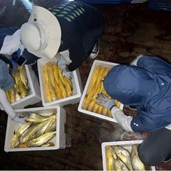 Hu Xiaoming, một đối tác cũ của Alibaba đã đích thân lãnh đạo nhóm và công ty mới "One Meter Eight" có một khởi đầu tốt đẹp Hu Xiaoming, một đối tác cũ của Alibaba đã đích thân lãnh đạo nhóm và công ty mới "One Meter Eight" có một khởi đầu tốt đẹp